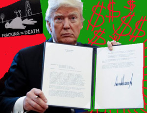 TrumpandMoney